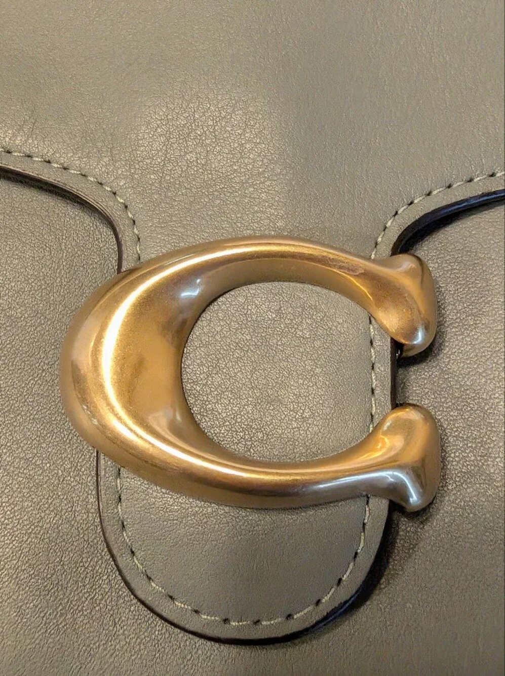 Coach Chain Tabby Sage Shoulder Bag